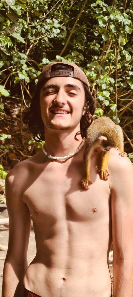 Profil de Crepin